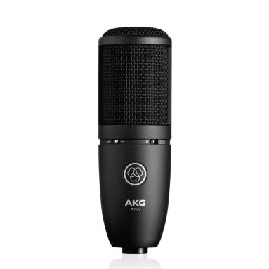 AKG P120 High-Performance Microphone